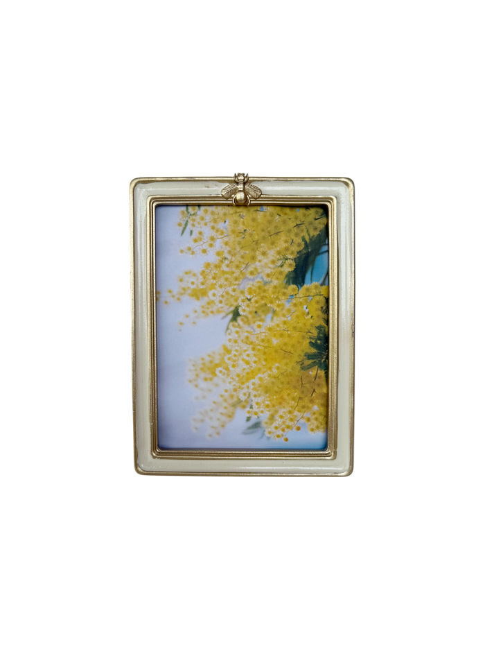 Bumble bee frame