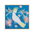Crested cockatoo