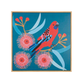 Crimson rosella