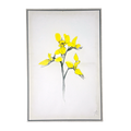 Yellow flower frame
